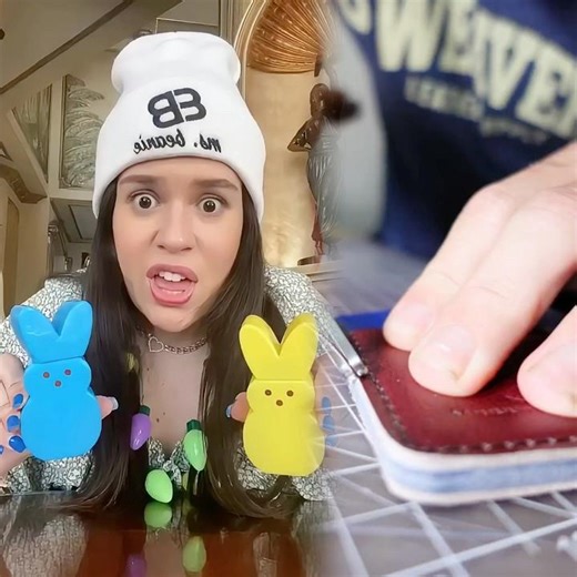 WHICH ICE CREAM DO YOU WANT? #msbeanie