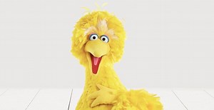 Big Bird tweets: I got the COVID-19 vaccine today!