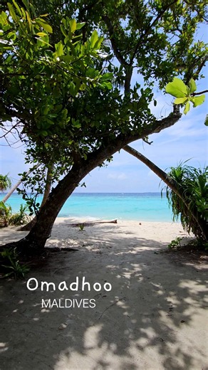 The REAL Maldives most tourists never see 🏝️ #maldives #localisland