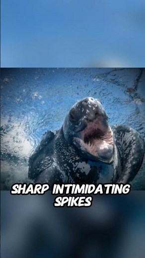 The Leatherback Sea Turtle's Mouth Is Nightmare Fuel 🐢 #shorts #facts
