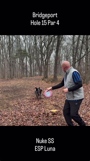 Disc Golf in Bridgeport - Hole 15 #discgolf #dog