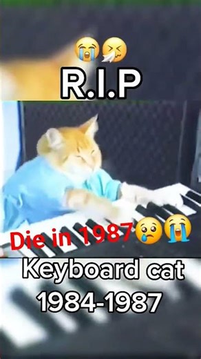keyboard cat die in 1987 and in 1984 it was good