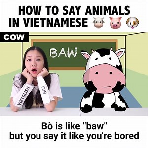Here's a Fun and Easy way to Learn Vietnamese :) by Vietglish Fun | Your Everyday Asian