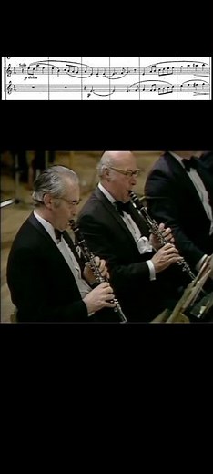 Clarinet Solo: One of the most beautiful clarinet solos ever written… #classicalmusic #orchestra