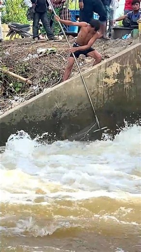 Real Life 100% Net Fishing In River At The Countryside (Part 1668) #fishing #fish #new