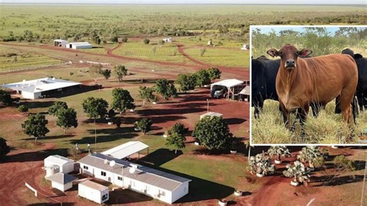 Bigger than a small country: Australia’s largest cattle stations for sale
