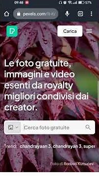 5 migliori siti per scaricare video in alta definizione gratis