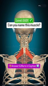 Medical Talks on Reels