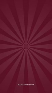 Holiday flowers, but smarter. From Nov 27–30, enjoy 25% off online orders of $100+ when you use code BLKFRI. Available for pickup or local delivery — all orders must be fulfilled by Dec 31. | Reed's Florists | Facebook