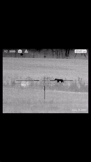 17K views · 265 reactions | 100% humidity can’t stop the nvisionoptics Halo XRF #nvisionoptics https://nvisionoptics.com/product/halo-xrf/ | N-Vision Optics | Facebook