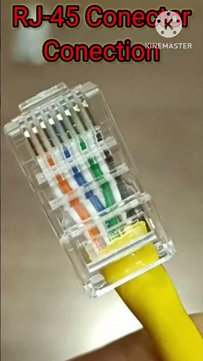 RJ-45 / Connector / Conection