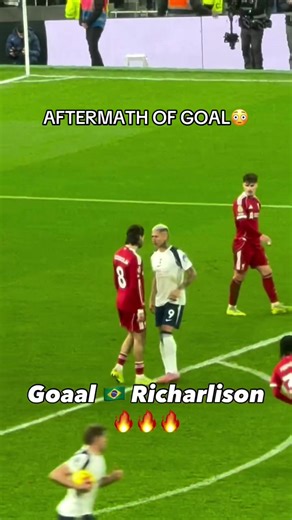 Richarlison is a problem 😂 #richarlison #tottenham #liverpool #spurs | liverpool vs tottenham