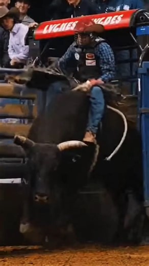 🐂 “You’ve Never Seen a Bull Do THIS Hoofstand! 😱