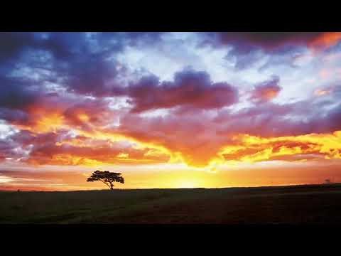 Morning has Broken - Celtic harp version