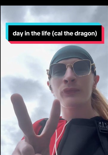 A Day in the Life of Cal the Dragon