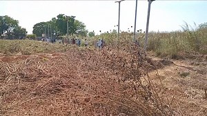 Good night mama ona ola tv | Ona Ola TV