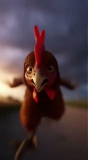 The Most Dramatic Chicken Alive