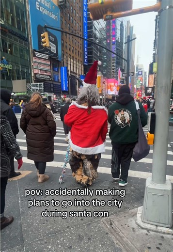 a drunk lady fell on me in the lirr #nyc #santacon #newyorkcity #barcrawl #newyork #lirr #christiantiktok