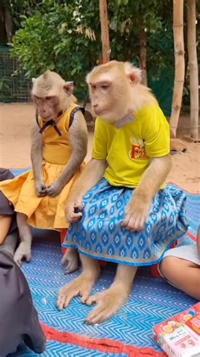 Mom share milk 🥛 me too ❤️ | YaYa Family