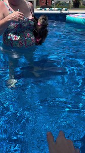 53K views · 1.3K reactions | Little Miss Kate is such a good swimmer #willowkate #swimming #pool #summerfun #swimmingmonkey #bikini | Three Little Rascals | Facebook