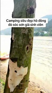 Camping siêu đẹp hồ đồng đò sóc sơn giá sinh viên #hodongdo #travel #dulich #camping #chill #fishing