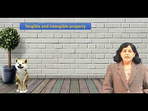 Tangible vs Intangible Property