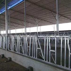 [Hot Item] Durable Galvanized Cow Neck Lock for Dairy Farms