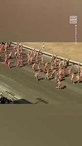 340K views · 1.7K reactions | 150 people in inflatable T-Rex costumes took part in a ‘dinosaur race’ at a racetrack in Auburn, WA. It was the first time the event was held since 2019, due to the COVID-19 pandemic. The venue, Emerald Downs, is not just a typical horse racing track — the facility is also known for hosting other unusual events like baby racing, corgi racing, and, well, a dino dash or two. | NowThis | Facebook