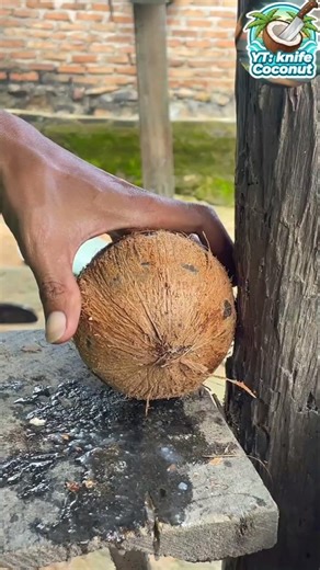 day 18 opening the coconut