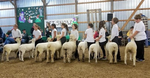 Fall fairs are happening across Ontario this weekend. Your guide to events near you