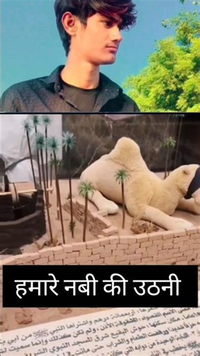 Hamare Nabi ki Utni #ytshort #short