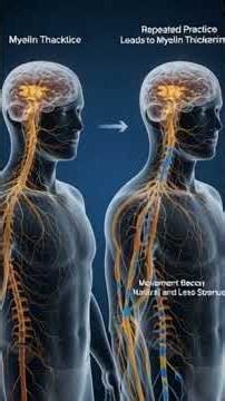 🧠 How the Brain Stores Data | Neurons Explained Simply|Is Your Brain Better Than a Computer?