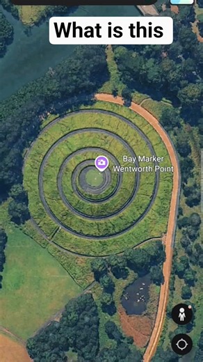 Live Google Map #earth