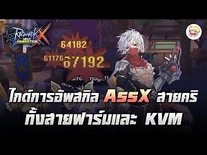 ไกด์การอัพสกิล Assassin Cross สายคริ ทั้งสายฟาร์มและ KVM | Ragnarok X Next Generation (ROX)