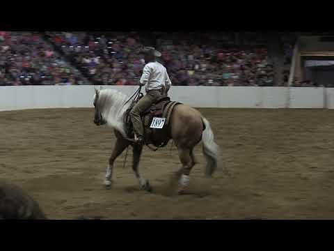 Dan James Freestyle Reining at All American Quarter Horse Congress 2021