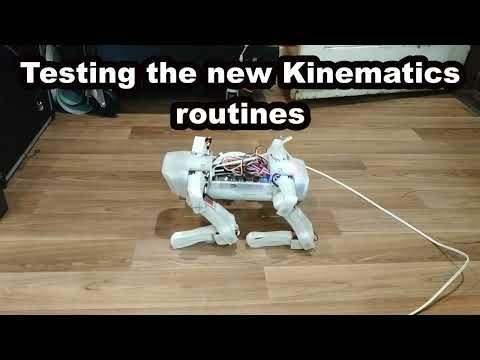 Spot Micro Testing kinematics