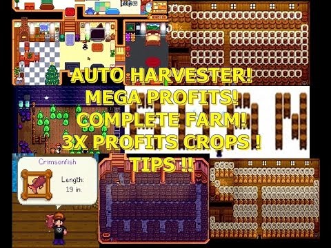 Stardew Valley - Automatic Farm, Junimos Hut, great layout and lot tips #20 (english ver.)