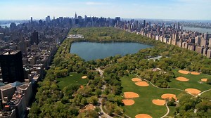 Scientists have created a digital model of every tree in New York City