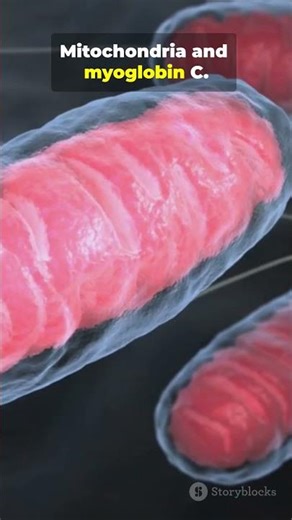 Can You Beat The 15%? Muscle Fiber Speed Quiz! #neetprep #neet #science #facts