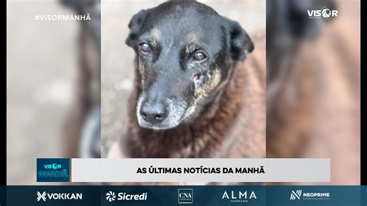 visornoticias on Instagram: "Visor Manhã destaca educação ambiental, turismo e operações policiais em Santa Catarina 📺 Jornal Visor Manhã 🗓️ Edição desta segunda-feira (26) Veja os principais destaques do Visor Manhã de hoje 👇 🐶 Caso de maus-tratos a animal em Florianópolis Polícia Civil cumpre mandados de busca contra adolescentes suspeitos de agredir um cachorro comunitário na Praia Brava. 🚓 Operações policiais no Litoral Norte Ações da PM em Balneário Camboriú e Camboriú resultam em pris