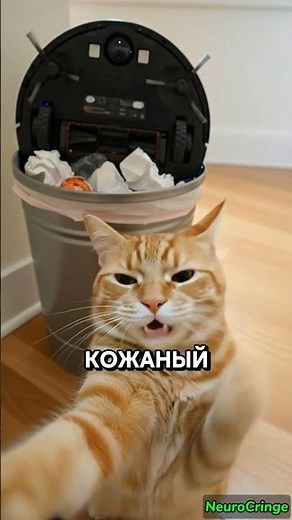 КОТ vs РОБОТ-ПЫЛЕСОС: Честный обзор 😼 (Интеллект хлебушка) #юмор #котики #cat