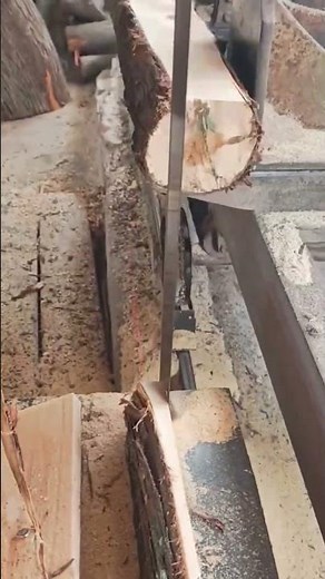 Tree Slice Cutting with Sharp Cutter