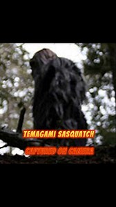Temagami Sasquatch, The Mica Hulk, Louisiana Skunkape & Omak Bigfoot | Rocky Mountain Sasquatch Organization