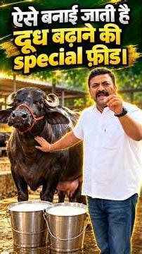This is how the special milk-boosting feed is made👍| Vicky Pansari | #vickypansari #dairyfarm #pa...