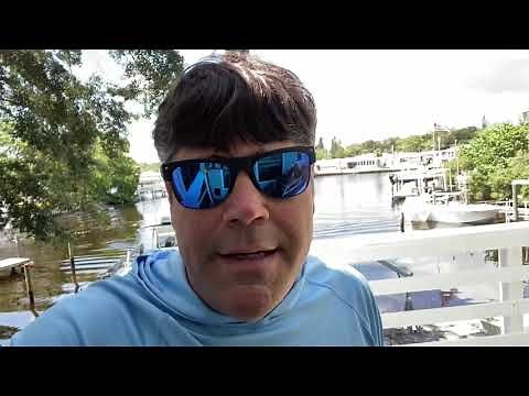 Review Harbor a Freight Atlas 80V string trimmer, weed eater