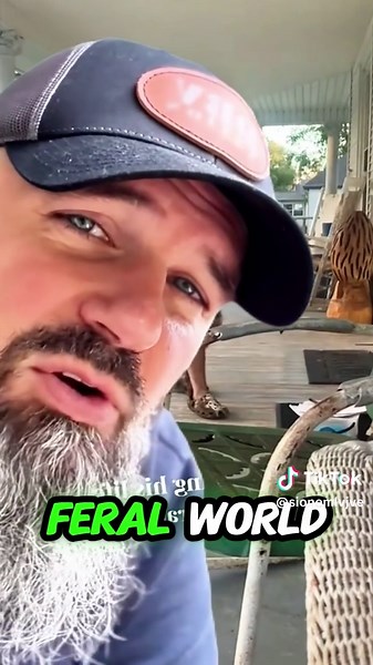 Understanding Generation X and Alpha Dynamics