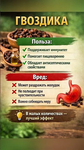 Гвоздика: что важно знать о свойствах и употреблении