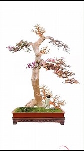 46K views · 338 reactions | Making bonsai full plant and its process朗 #art #farmers #viral #help #branches #fruit #learn #grafting #bonsai #bonsaiart #bonsaimaterial #agricultural #tree #master #reels #fbreels #trending | For Plants | Facebook