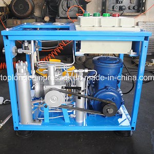 [Hot Item] Home CNG Compressor for Car CNG Compressor Price