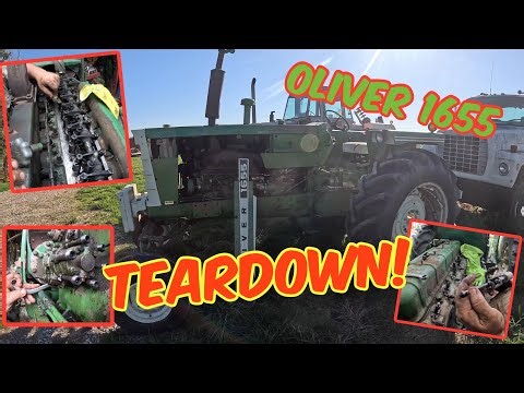 OLIVER 1655 Diesel valve adjustment and fuel system teardown! Can we get it apart???